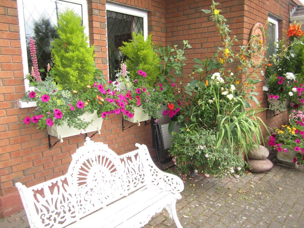 Killyon Guest House Navan Exterior photo